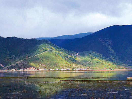 香格里拉-纳帕海依拉草原