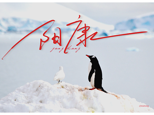 阳康