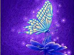 线圈插画-紫蝶恋花