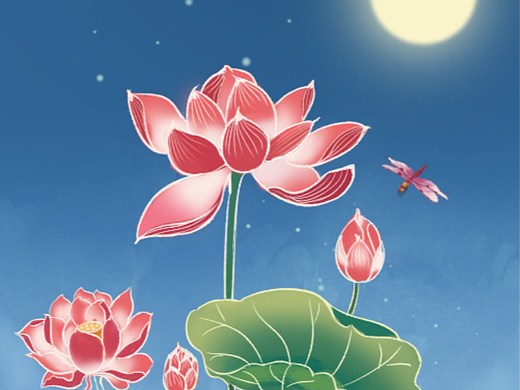 荷花的夜空