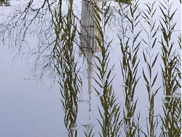 廣州拍照 |  #廣州塔/花城廣場