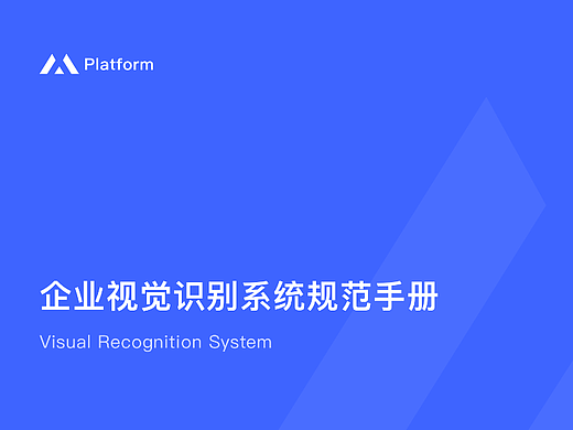 VIS视觉识别系统