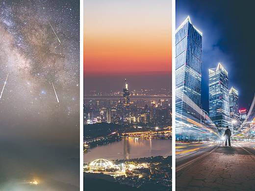 向上的生命力——我的2023摄影作品集