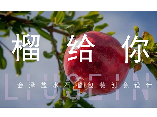 云南会泽盐水石榴创意包装设计