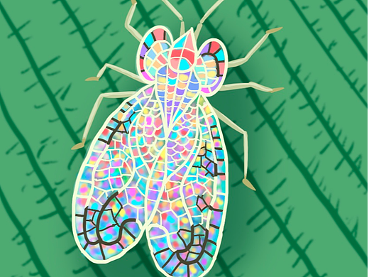 繪畫星球打卡【Day 8】（個人主頁-ZNjQyMTI0MzY=） - 創(chuàng)作習(xí)作 - 站酷設(shè)計(jì)師Rechryya原創(chuàng)素材 - 站酷ZCOOL