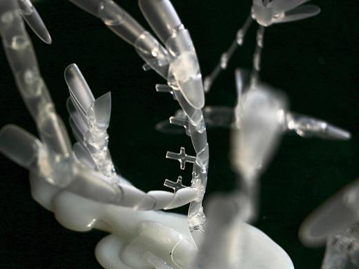 The &quot;She&quot; series 《她》系列