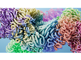 C4D 样条动力学做个五颜六色的九转大肠