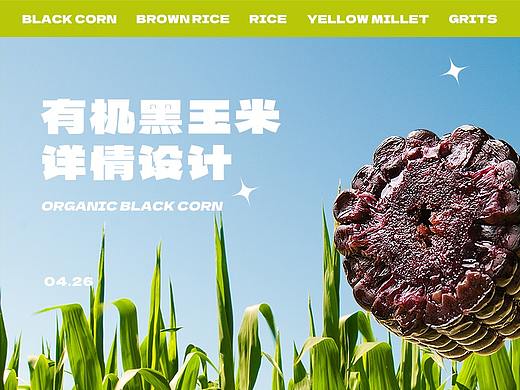 有机黑玉米详情页