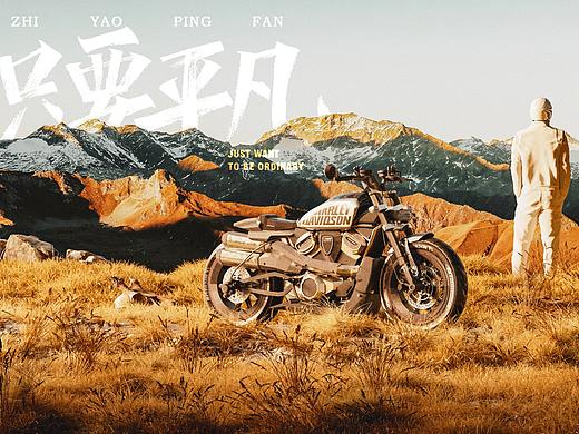 HARLEY-DAVIDSON