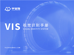 宇宙猫-产品VIS