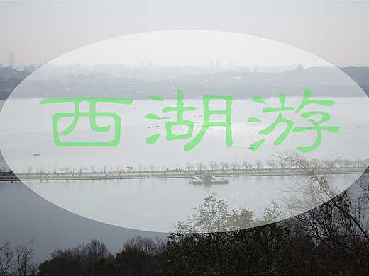摄影（风景，植物）