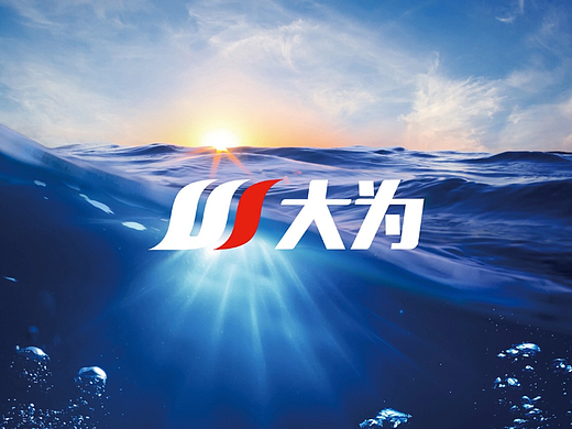 【影白出品】大为软件科技VIS设计