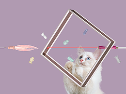 宠物逗猫棒图片渲染
