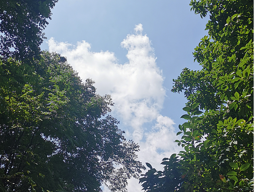 #WOW 夏日的浪漫（个人主页-ZNjE2Mjc3NDQ=） - 环境/建筑摄影 - 站酷设计师夏目与斑原创素材 - 站酷ZCOOL