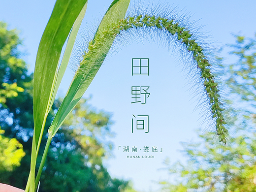 行走在乡村的小道上