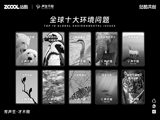 声生不熄丨有声生,才不熄