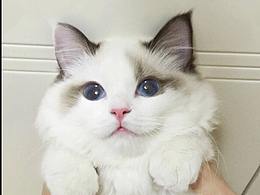 名人名言【下】