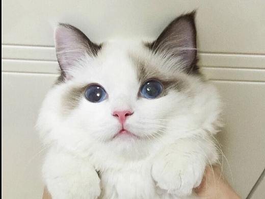 名人名言【下】（个人主页-ZMTU2NzEyOA==） - 网页 - 站酷设计师黄金2号原创素材 - 站酷ZCOOL