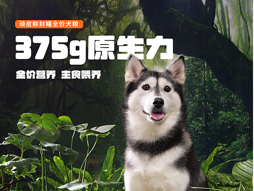 中宠顽皮原生力犬罐头竖版电商视频