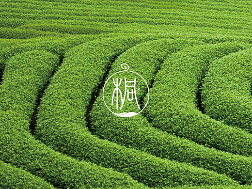 桐小花｜新锐茶叶品牌