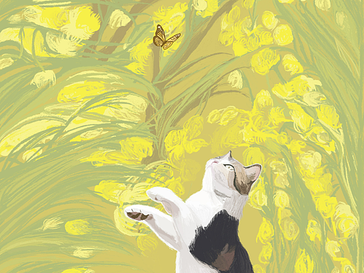 貓咪與小蝴蝶（個人主頁-ZNjY5MzQ0MzI=） - 藝術(shù)插畫 - 站酷設(shè)計師愛畫畫的粽子原創(chuàng)素材 - 站酷ZCOOL