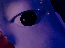 萬圣節(jié)驚魂