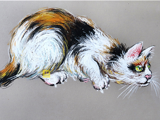 油画棒猫咪绘画步骤