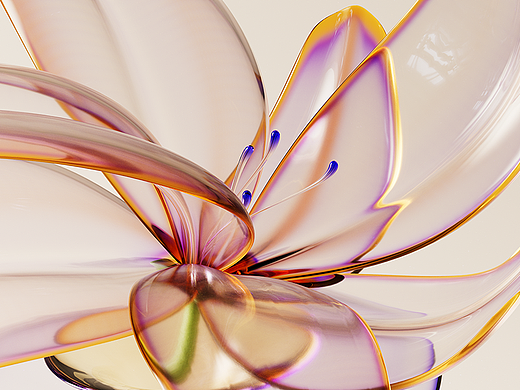 关于花/About the flowers