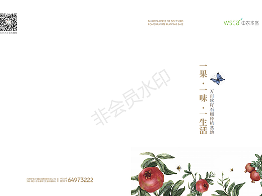 文案|小众文案