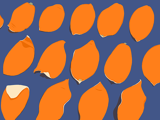 橙子皮（个人主页-ZNTkxNDgxMjg=） - 创作习作 - 站酷设计师三只橙子原创素材 - 站酷ZCOOL