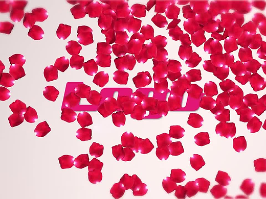 PR模板|玫瑰花瓣标志LOGO演绎动画开场