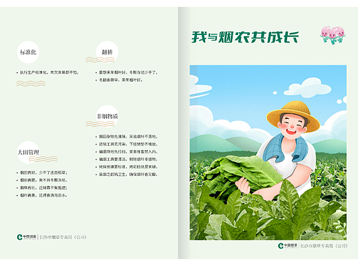 长沙烟草烟叶专刊