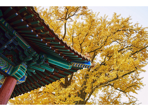 空山新雨后，天气晚来秋。  秋风生渭水，落叶满长安。