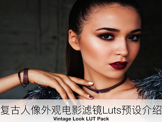 高级复古完美外观人像调色Luts预设