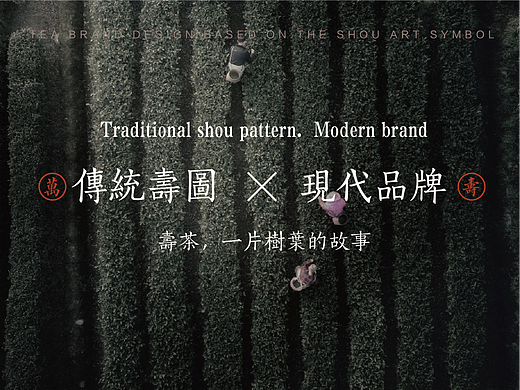 寿茶品牌设计