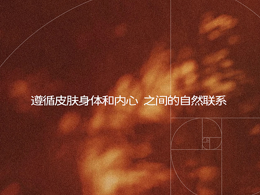 Noreva品牌视觉升级