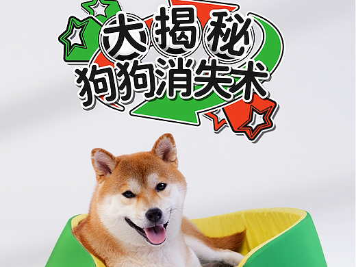 中宠顽皮犬用肉干薄片电商竖版视频