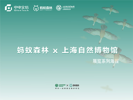 【蚂蚁森林】蚂蚁森林×上海自然博物馆联合生态海报