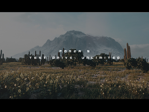 《Forza 5》——Test Drive: Unlimited