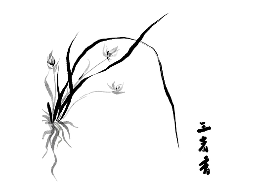兰-王者香