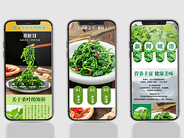 冰鲜桑叶详情页