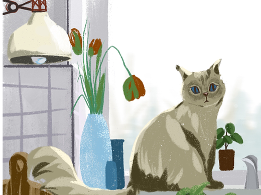 小猫 窗景 速涂（个人主页-ZNjQ4ODQ2ODQ=） - 绘本 - 站酷设计师siyiiiiiii原创素材 - 站酷ZCOOL