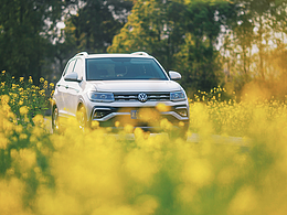 帅气的途铠 T-Cross