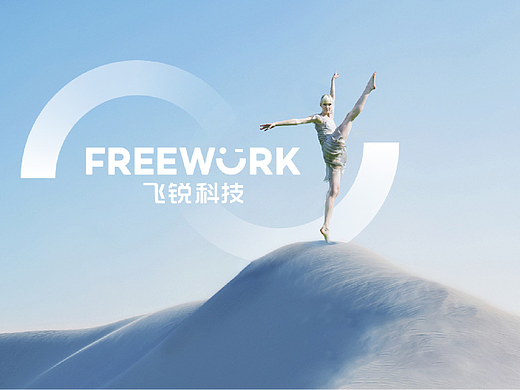 飞锐科技丨泼墨案例