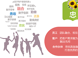 公司企业文化墙（三版设计）