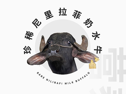 隔壁刘奶奶mini奶公众号推文（已商用）