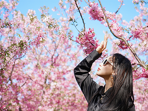人像摄影x春和景明桃花开