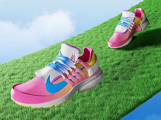 耐克的一双鞋子