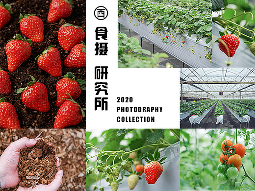 《草莓&西红柿》一个蔬果的诞生
