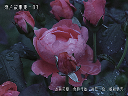 照片故事集-03《躲着晴天》